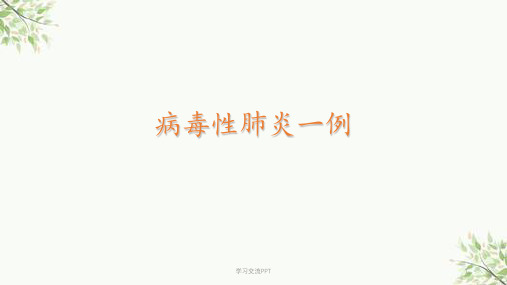 病毒性肺炎 最新课件
