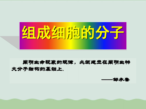 组成细胞的分子PPT课件全解2 人教课标版