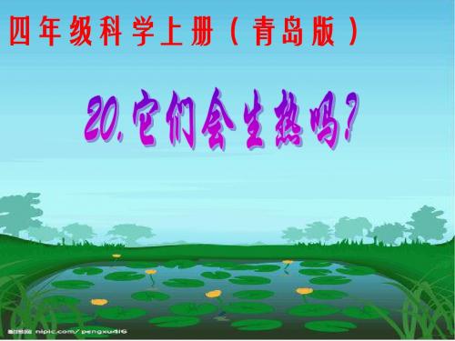 青岛版小学科学四年级上册《它们会生热吗》精品课件