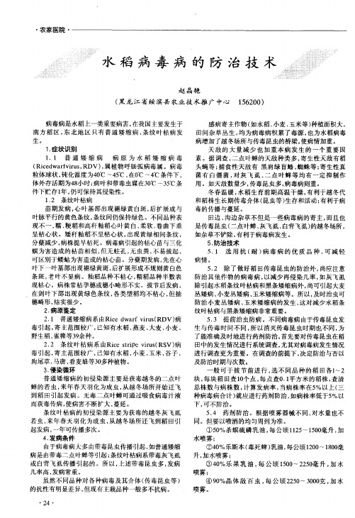水稻病毒病的防治技术