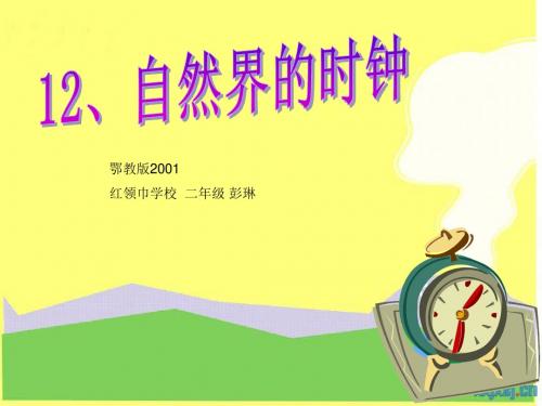 12自然界的时钟