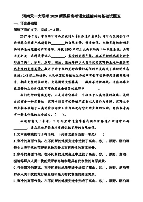 河南天一大联考2020新课标高考语文提能冲刺基础试题五及答案解析(6页)