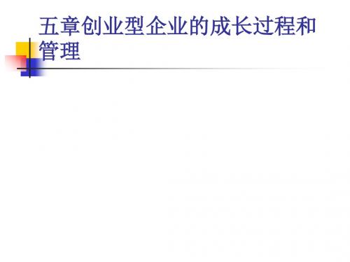创业型企业的成长过程和管理(ppt58张)