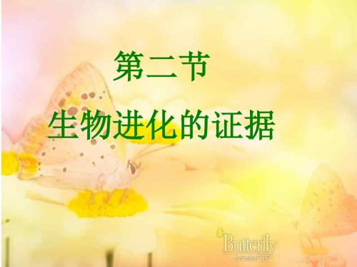 512生物进化的证据课件(济南版八年级下)