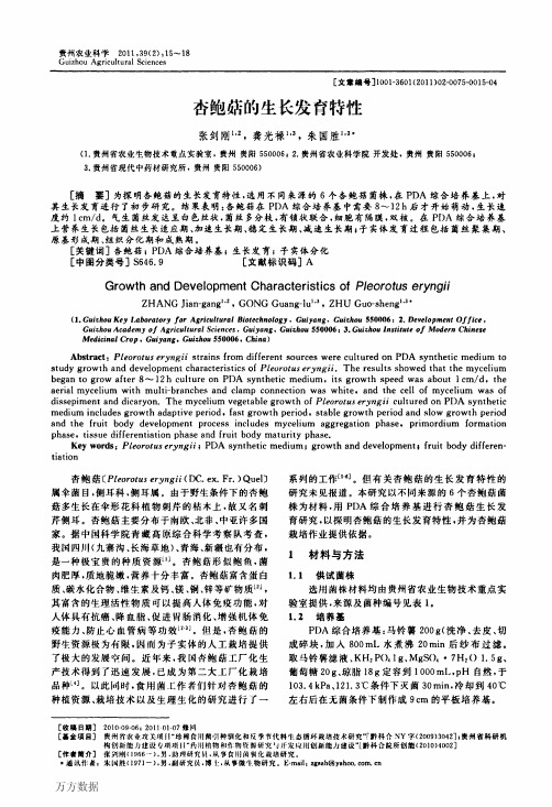 杏鲍菇的生长发育特性