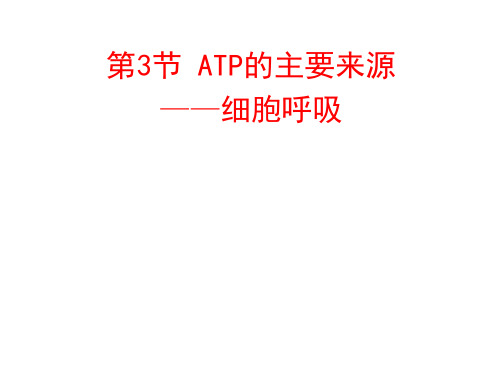 呼吸作用课件