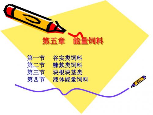 第二部分 饲料种类--第五章 能量饲料