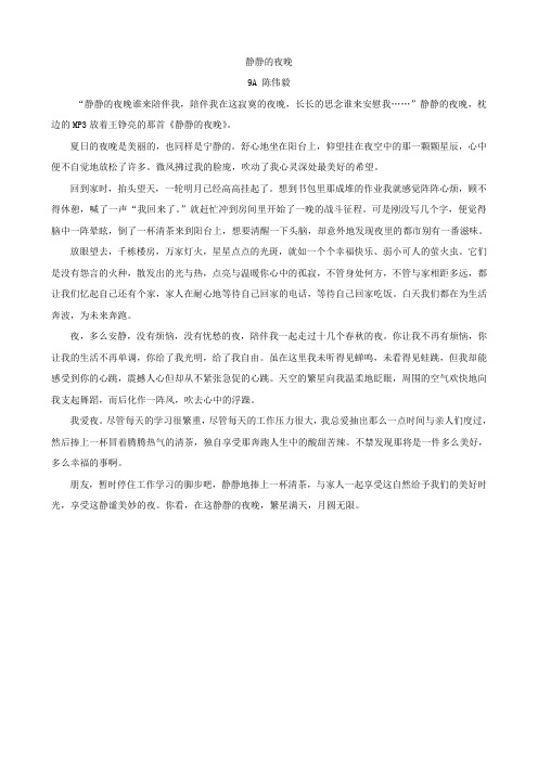 静静的夜晚