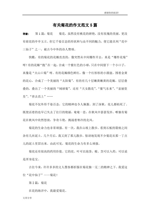 有关菊花的作文范文5篇