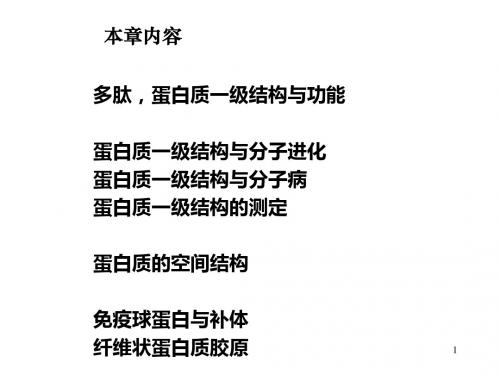 蛋白质化学1(3.3)