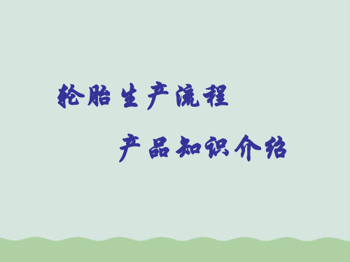 轮胎的基础知识与性能ppt(共28页)