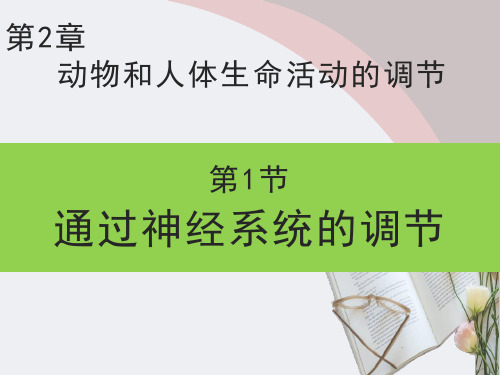 人教版高中生物必修3课件  2.1 通过神经系统的调节 第1课时