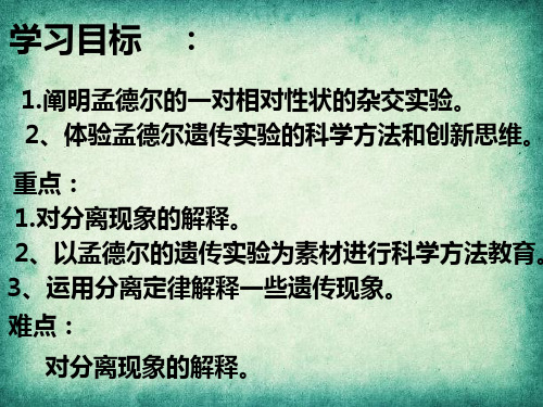 分离定律 孟德尔的豌豆杂交实验(一)孟德尔第一定律  孟德尔分离定律