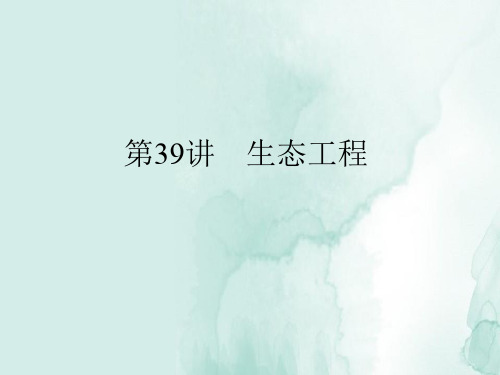 高三生物一轮复习精品课件4：生态工程