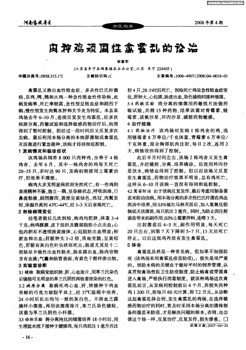 肉种鸡顽固性禽霍乱的诊治