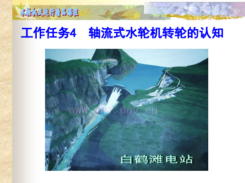 工作任务4 轴流式水轮机转轮的认知