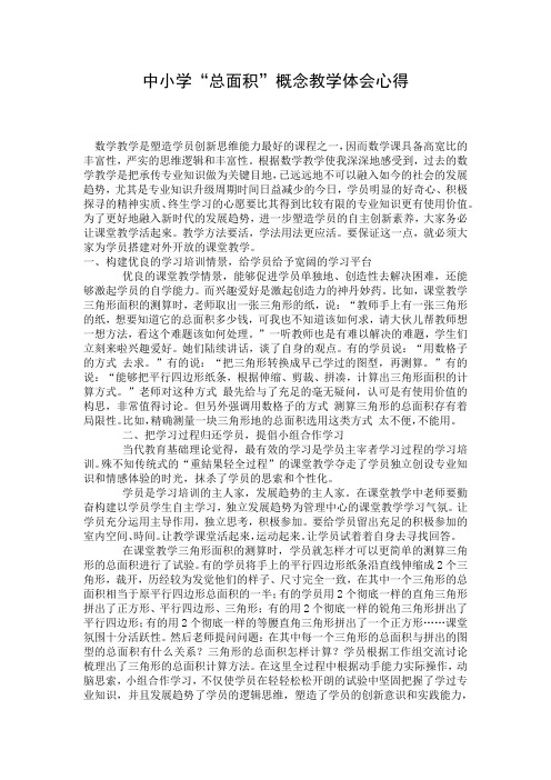 中小学“总面积”概念教学体会心得