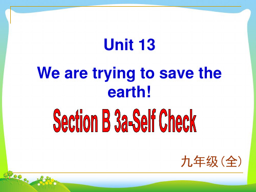 人教版九年级英语下册Unit 13 Section B-3优质课课件