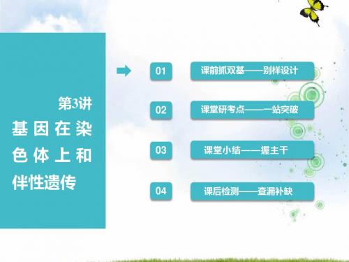 2019届高考全国卷人教版生物一轮复习课件：必修2 第一单元 第3讲 基因在染色体上和伴性遗传