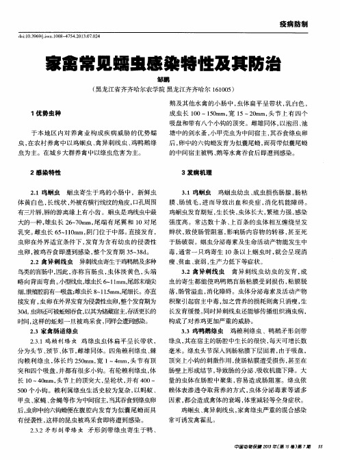 家禽常见蠕虫感染特性及其防治