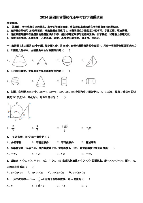 2024届四川省攀枝花市中考数学四模试卷含解析