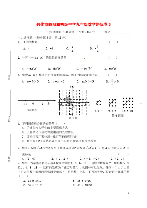 江苏省兴化市昭阳湖初级中学九年级数学下学期培优试卷