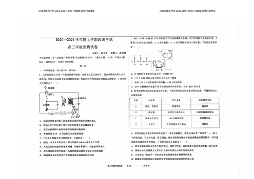 河北省衡水中学2021届高三上学期新高考四调考试生物试题及答案