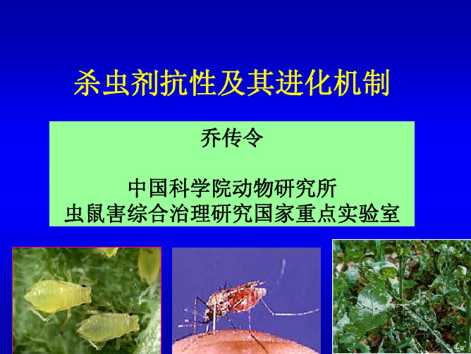 杀虫药剂抗性机制——乔传令