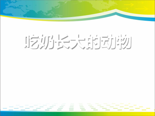 《吃奶长大的动物》多种多样的动物PPT课件2【优秀课件推荐】