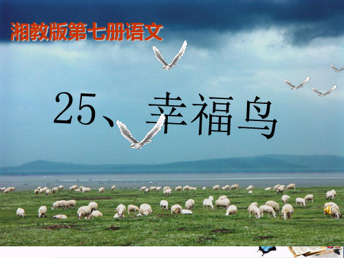 (精选)四年级语文上册第七单元幸福鸟PPT课件2湘教版