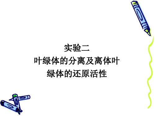 实验五叶绿体的分离及离体叶绿体的还原活性