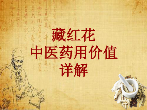 中药学_藏红花_药材详解课件模板