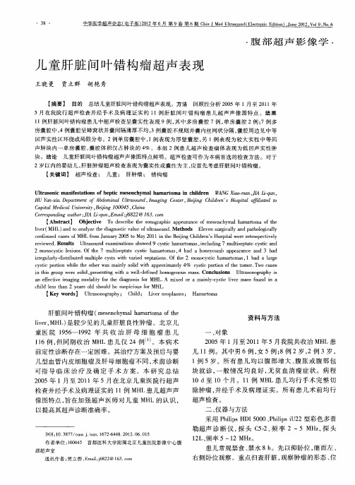 儿童肝脏间叶错构瘤超声表现