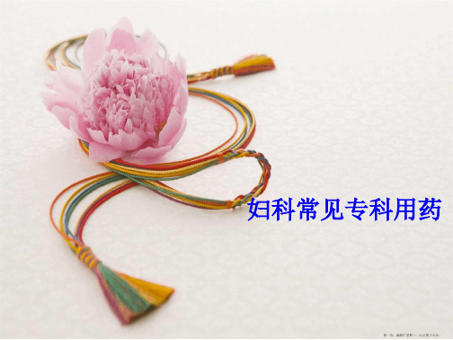 妇科常用专科用药
