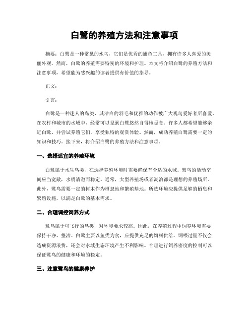 白鹭的养殖方法和注意事项