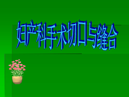 妇产科手术切口与缝合