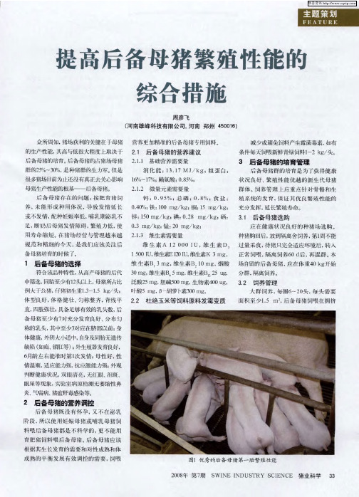 提高后备母猪繁殖性能的综合措施