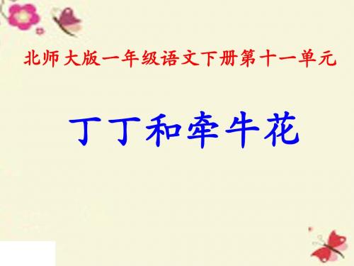 北师大版语文一下《丁丁和牵牛花》课件5