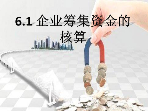 企业筹集资金的核算