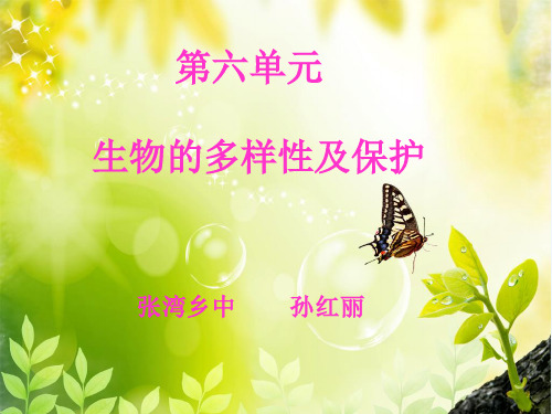 八上第六单元复习