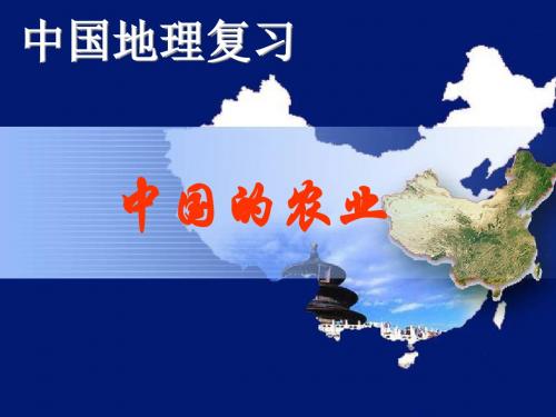 中国地理复习：中国的农业 PPT课件 湘教版