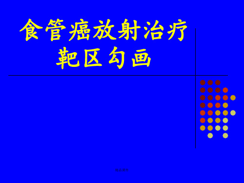 食管癌放射治疗靶区勾画