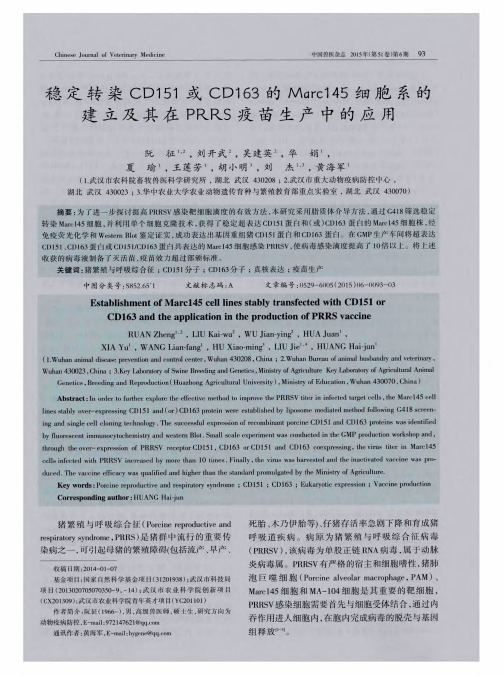 稳定转染CD151或CD163的Marcl45细胞系的建立及其在PRRS疫苗生产中的应用