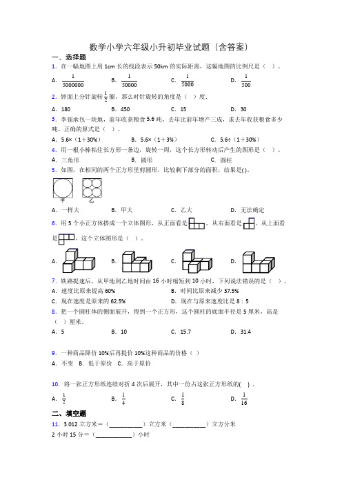 数学小学六年级小升初毕业试题(含答案)