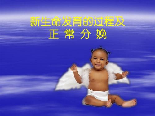 新生命发育的过程及各产程的处理