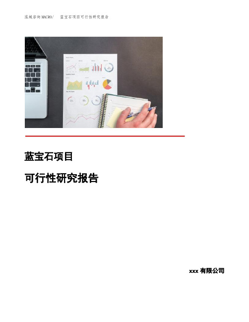 蓝宝石项目可行性研究报告