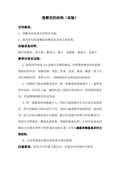 观察花的结构(实验)