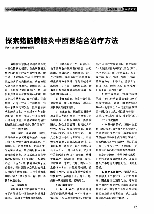 探索猪脑膜脑炎中西医结合治疗方法