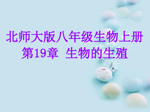 北师大版生物八上19.3《植物的生殖方式》课件(共35张PPT)