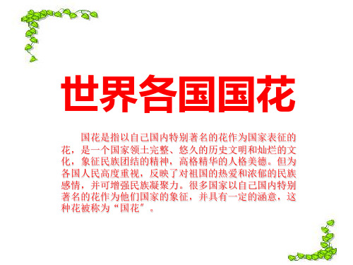 世界各国国花.ppt